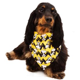 SNOOPY - BANDANA (AMARELO/C.B.)