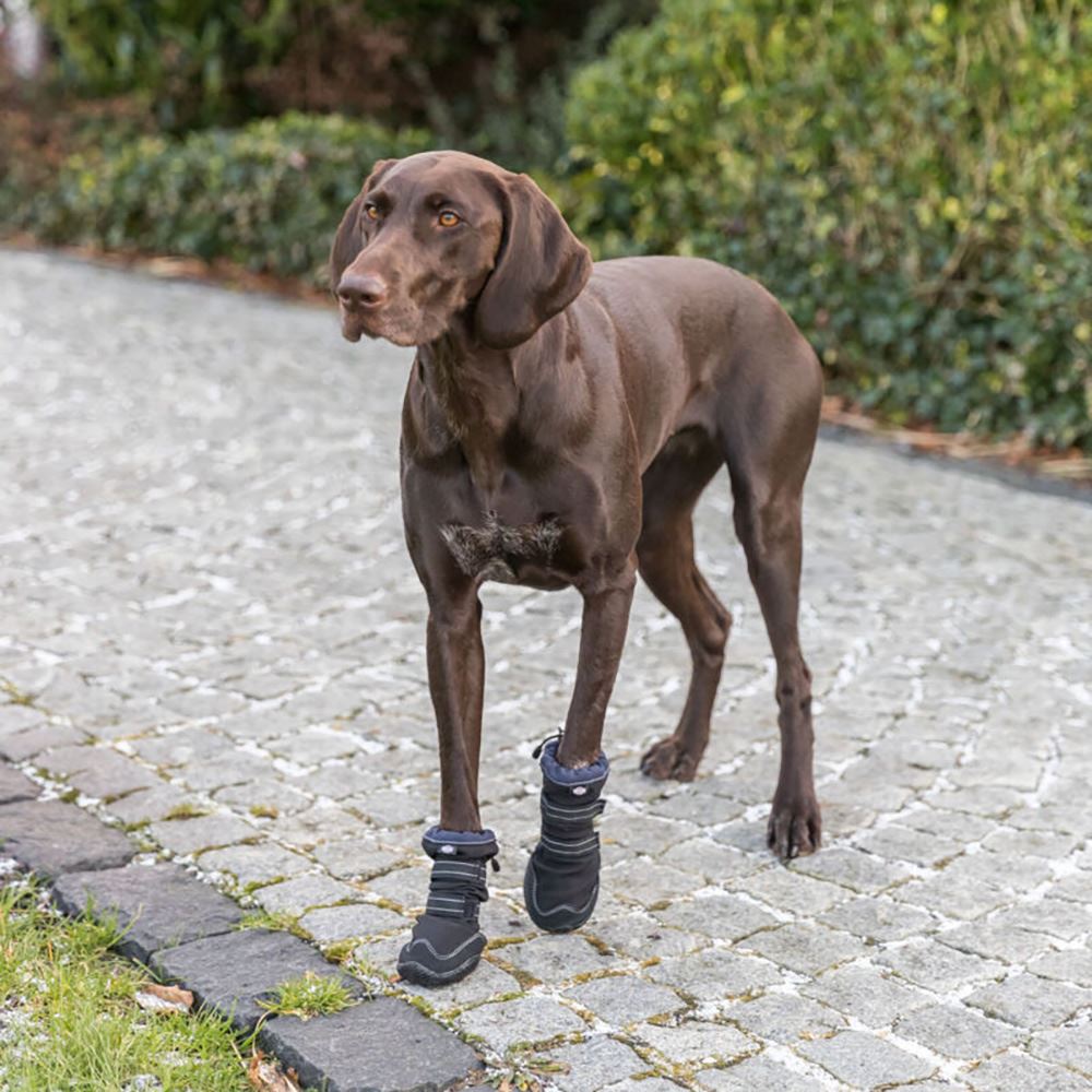 BOTA PROTECTORA "WALKER ACTIVE LONG" PARA CÃES