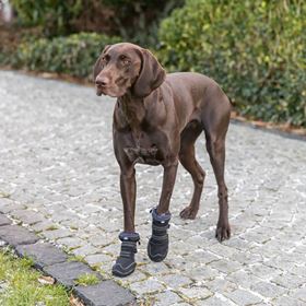 BOTA PROTECTORA "WALKER ACTIVE LONG" PARA CÃES