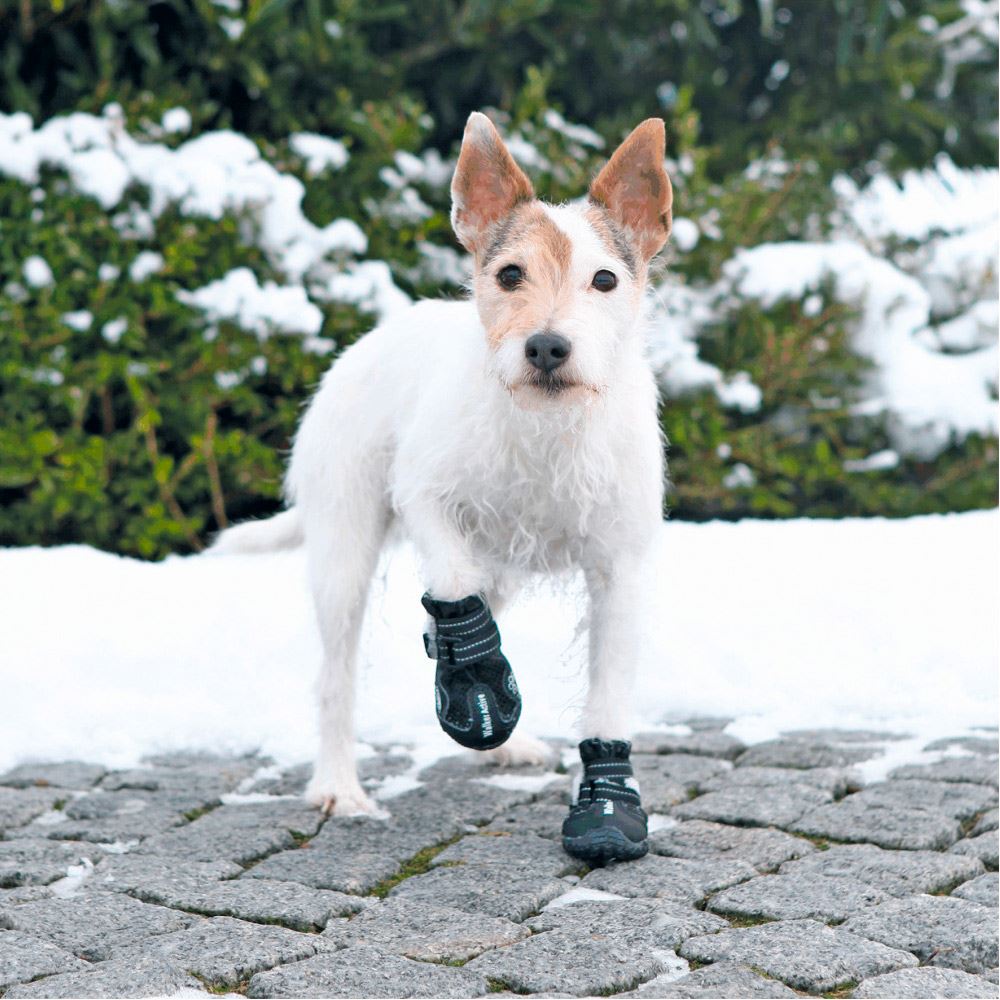 BOTA PROTETORA "WALKER ACTIVE" PARA CÃES