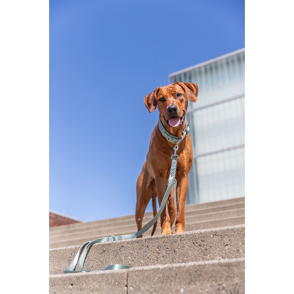 TRELA AJUSTÁVEL "PREMIUM"