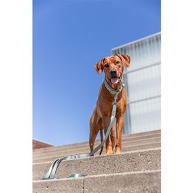 TRELA AJUSTÁVEL "PREMIUM"