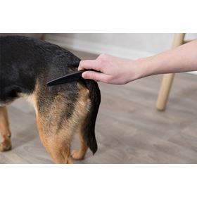 PENTE PARA RETIRAR PULGAS E PÓ PARA GATOS E CÃES PEQUENOS