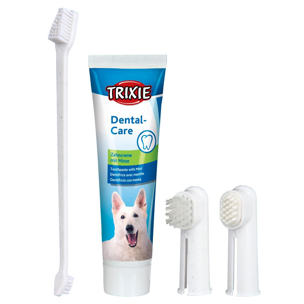 CONJUNTO DE HIGIENE DENTÁRIA PARA CÃES