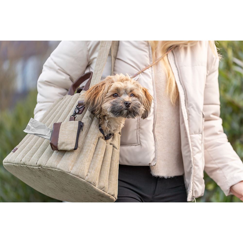 TRANSPORTADORA "SOPHIE"