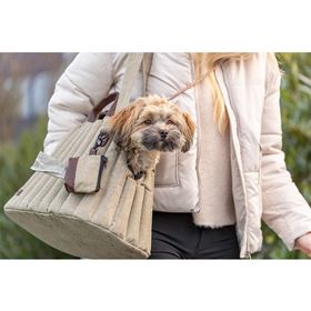 TRANSPORTADORA "SOPHIE"