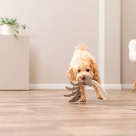 ESPINHA DE PEIXE EM PELE GENUÍNA E CORDA