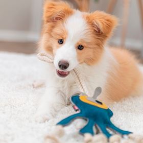 MONSTRO EM PELE GENUÍNA E CORDA