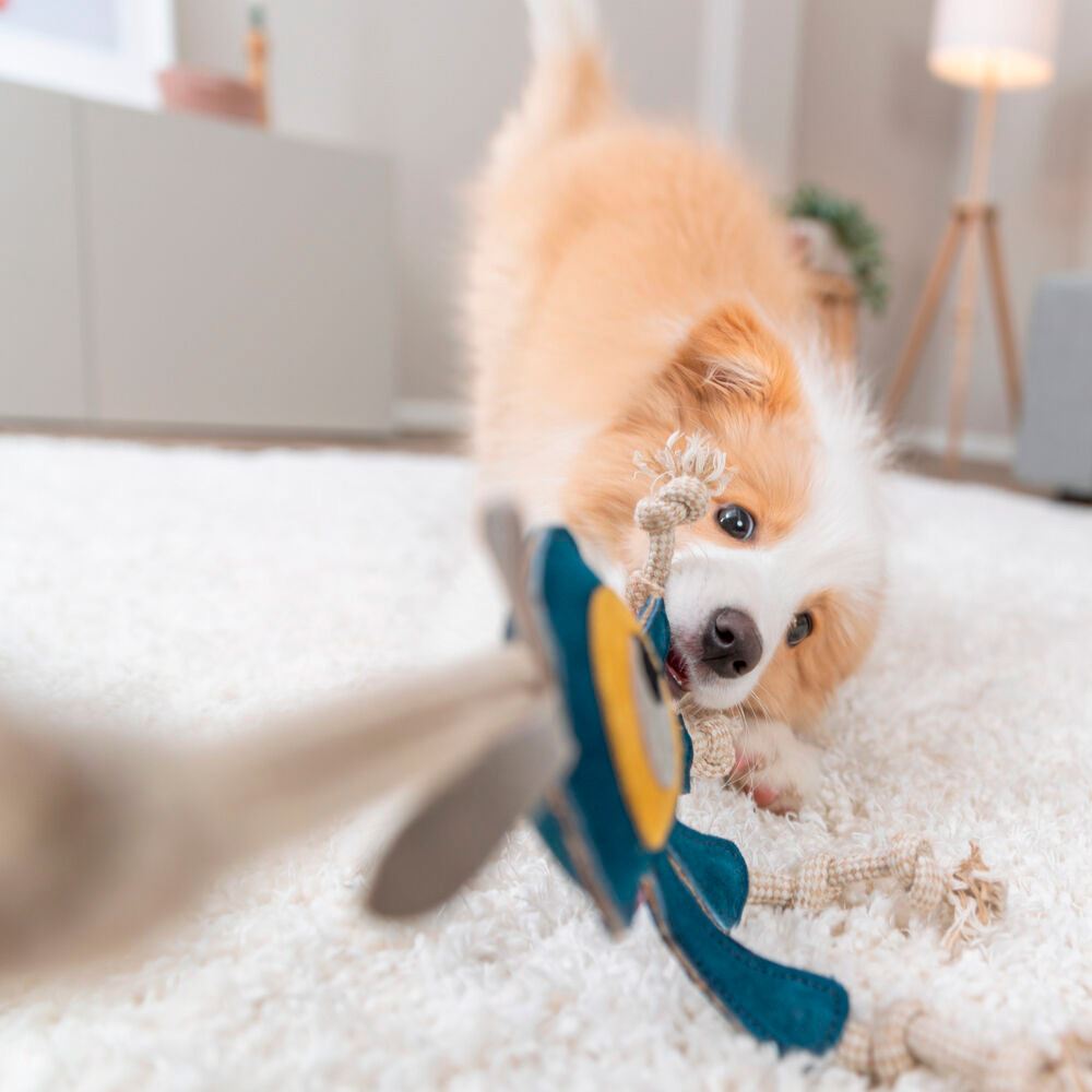 MONSTRO EM PELE GENUÍNA E CORDA