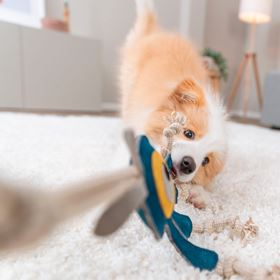 MONSTRO EM PELE GENUÍNA E CORDA