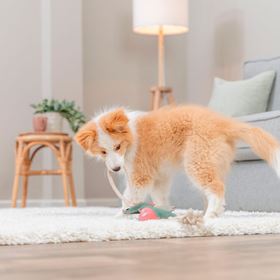 DRAGÃO EM PELE GENUÍNA E CORDA
