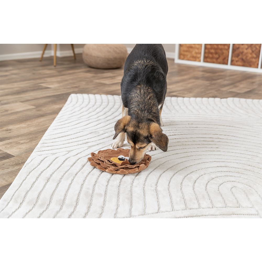 SNACK-LION EM PELÚCIA