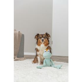 REI SAPO EM PELÚCIA