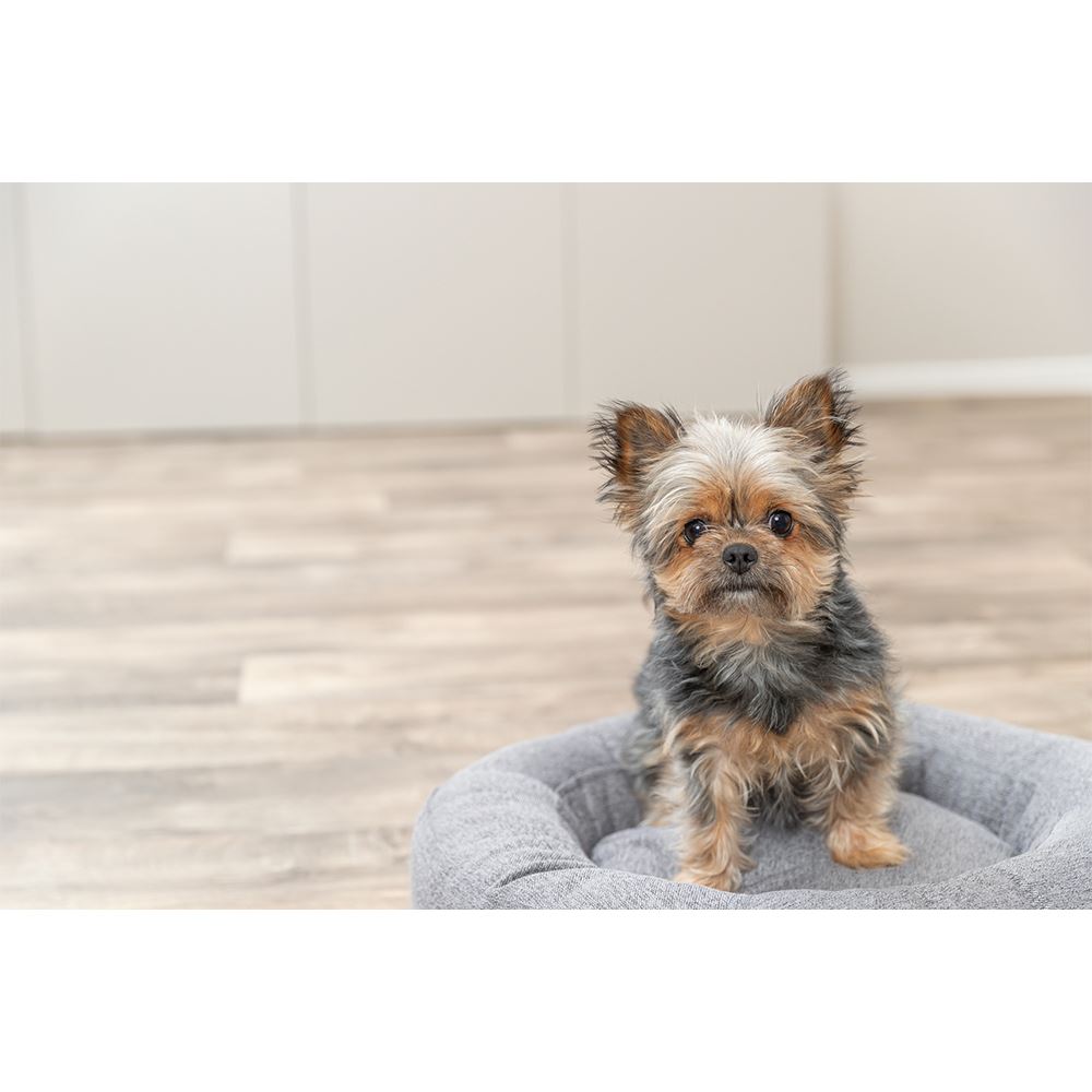 CAMA REDONDA "CITYSTYLE"