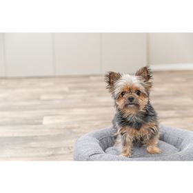 CAMA REDONDA "CITYSTYLE"