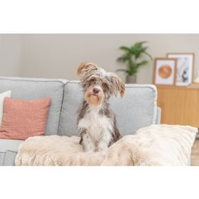 COLCHÃO FINO "ELLI"