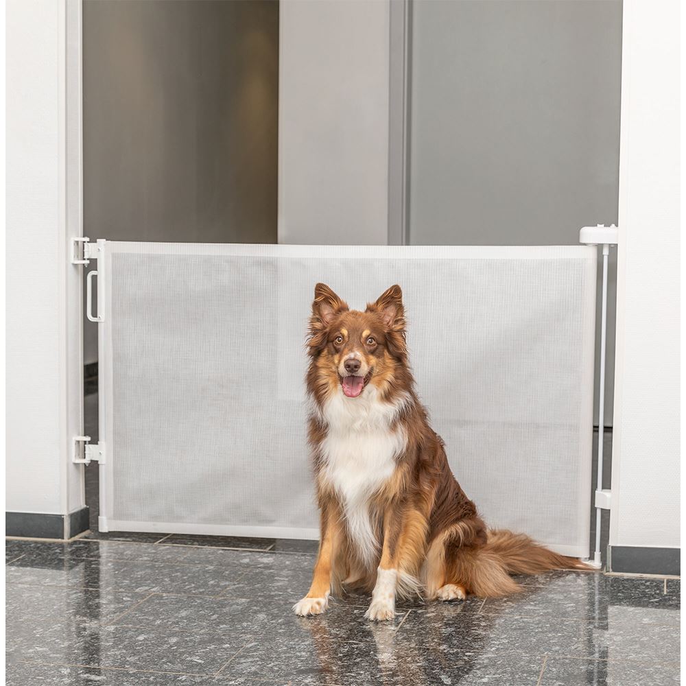 BARREIRA EXTENSÍVEL "ROLLER" PARA CÃES