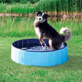 PISCINA PARA CÃES