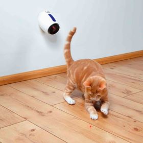 LASER-POINTER (COM MOVIMENTO ALEATÓRIO)