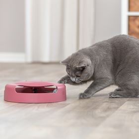 BRINQUEDO "APANHA O RATO" COM RATO EM PELÚCIA