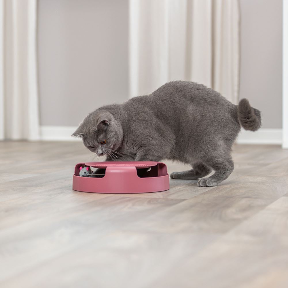 BRINQUEDO "APANHA O RATO" COM RATO EM PELÚCIA