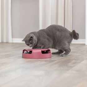 BRINQUEDO "APANHA O RATO" COM RATO EM PELÚCIA