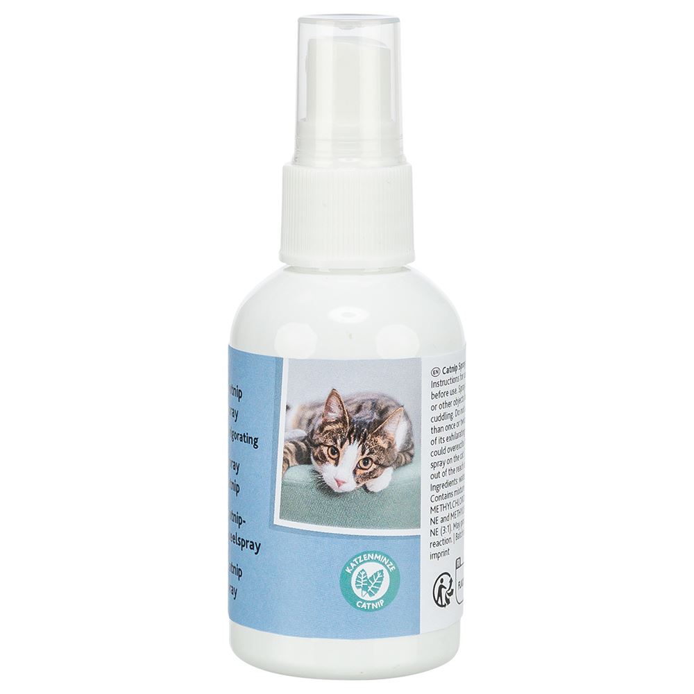 CATNIP - SPRAY (ERVA GATEIRA)