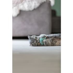 CORAÇÃO DE MATATABI EM PELÚCIA