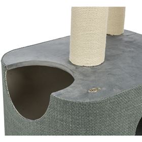 ARRANHADOR "VIVIANA"