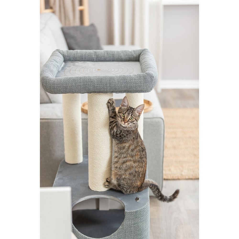 ARRANHADOR "VIVIANA"