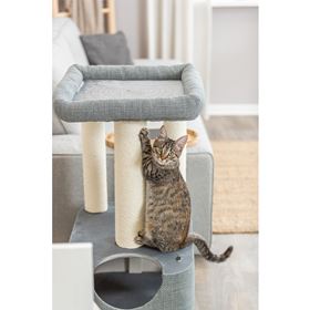 ARRANHADOR "VIVIANA"