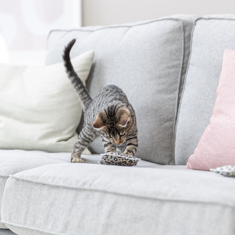 ALMOFADAS "LEO" EM ALGODÃO COM RECHEIO DE VALERIANA