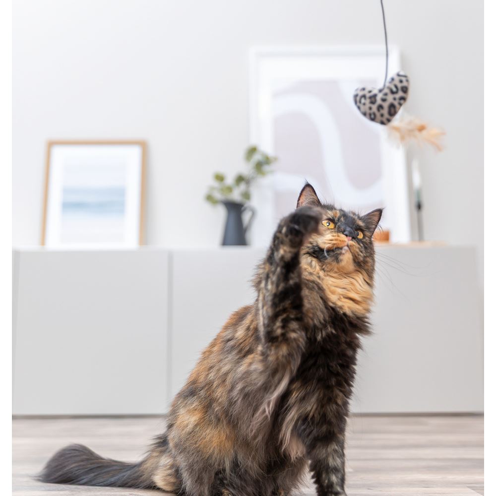 BASTÃO EM MADEIRA COM CORAÇÃO EM PELÚCIA E CATNIP