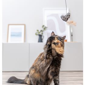 BASTÃO EM MADEIRA COM CORAÇÃO EM PELÚCIA E CATNIP