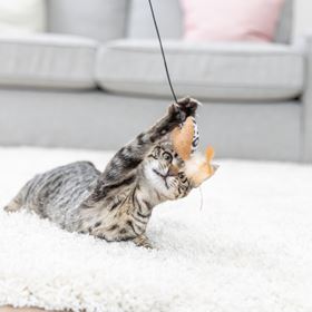 BASTÃO EM MADEIRA COM CORAÇÃO EM PELÚCIA E CATNIP