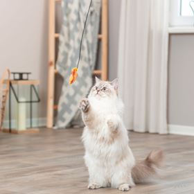 BASTÃO COM PEIXE EM TECIDO PARA GATOS