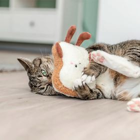 TORRADA XXL EM PELUCIA COM CATNIP DOS EUA