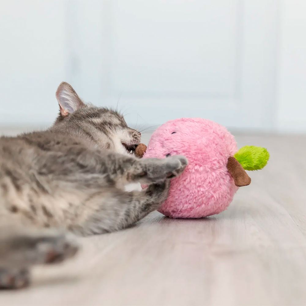PESSEGO XXL EM PELUCIA COM CATNIP DOS EUA