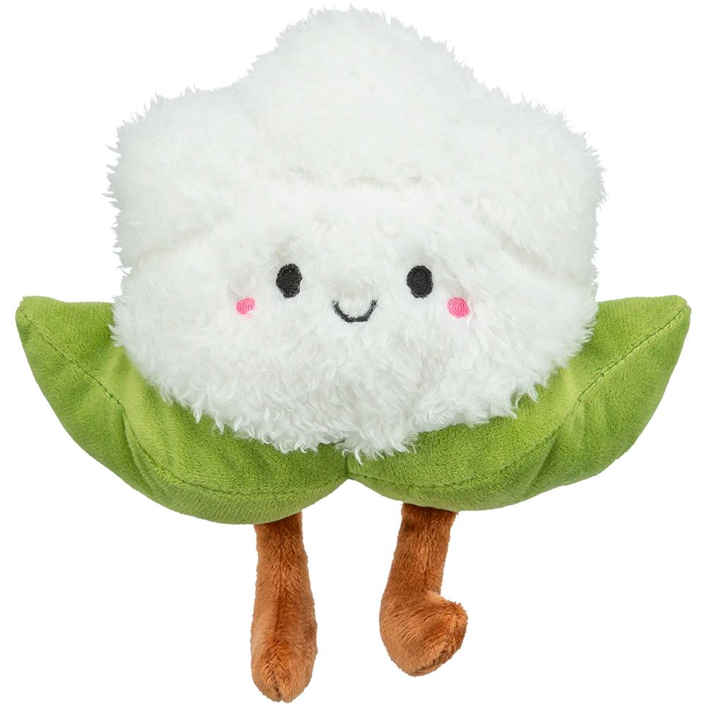 COUVE-FLOR XXL EM PELUCIA COM CATNIP DOS EUA