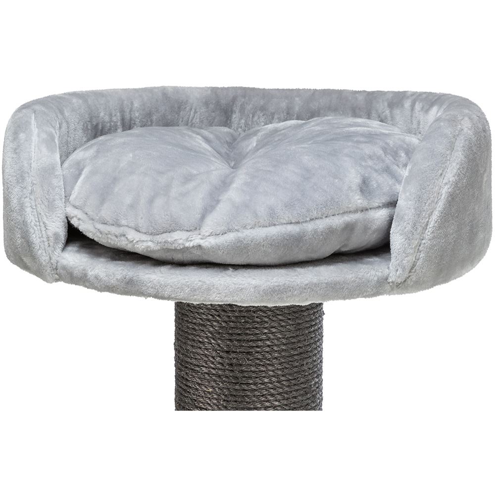 ARRANHADOR "MAURO XXL"