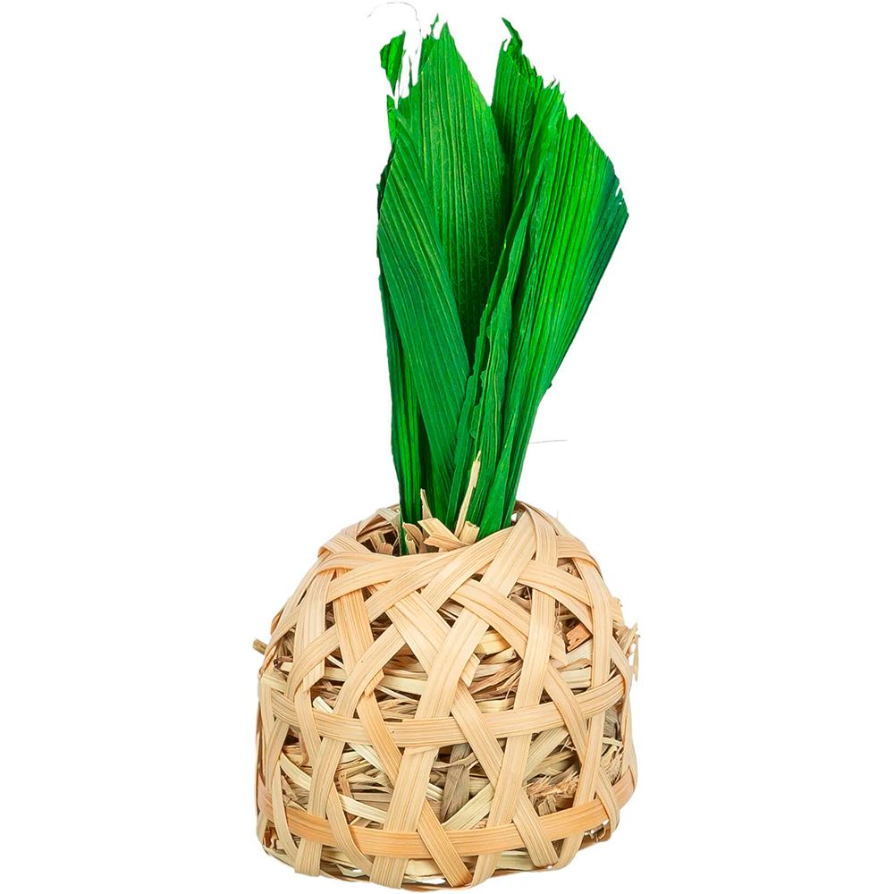 ABACAXI EM BAMBOO C/ FOLHAS DE MILHO E FENO