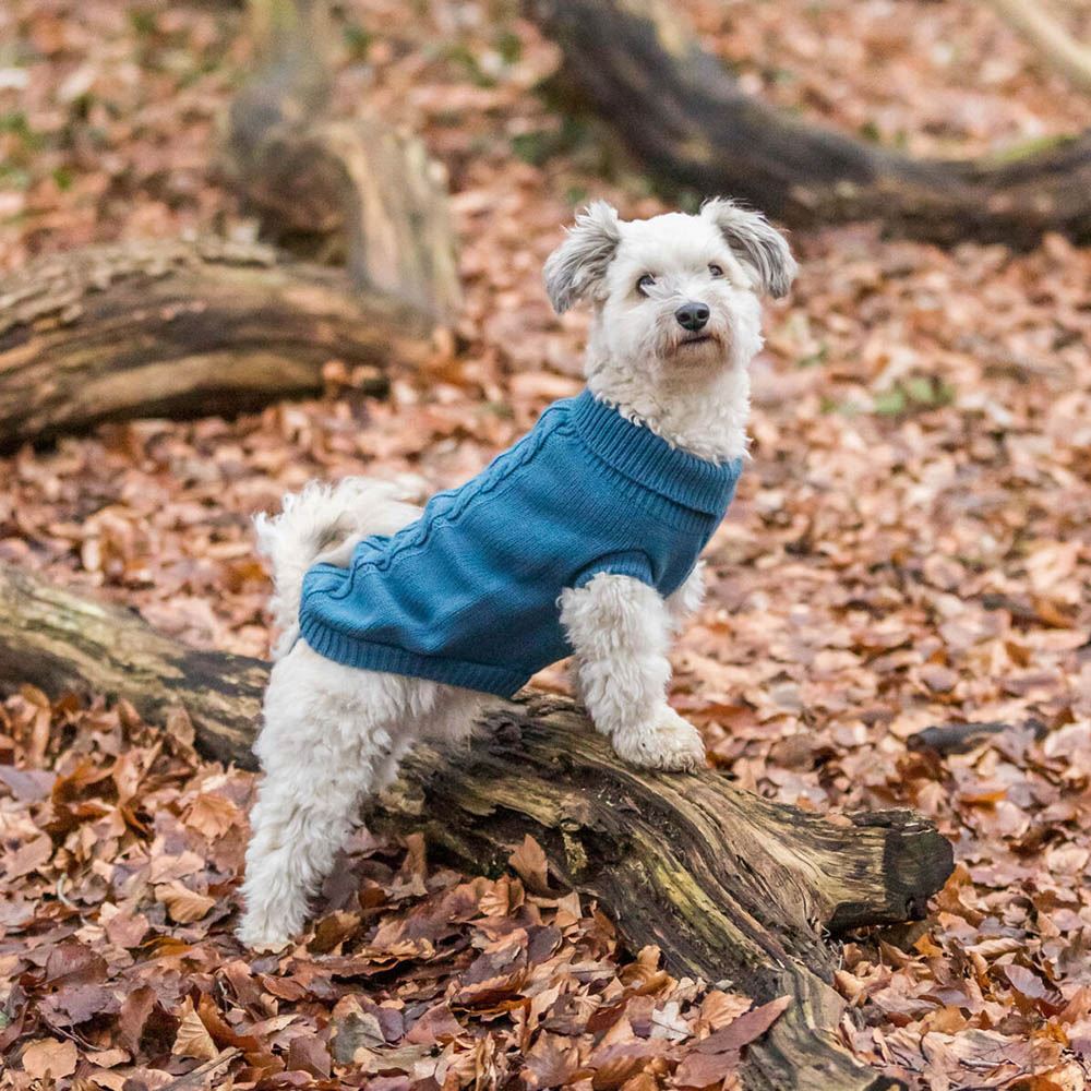 CAMISOLA "KENTON" PARA CÃES