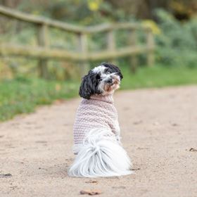 CAMISOLA "NORWOOD" PARA CÃES