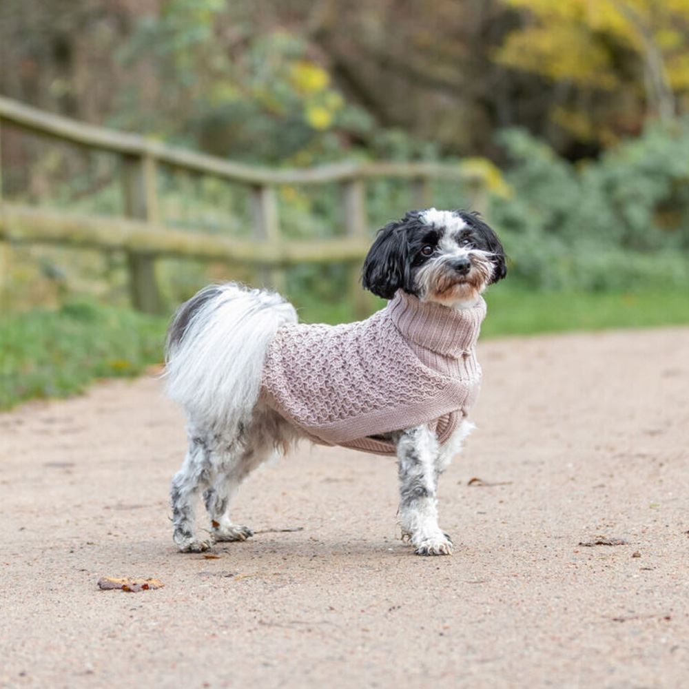 CAMISOLA "NORWOOD" PARA CÃES