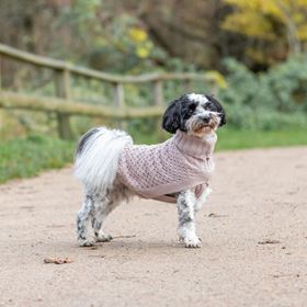 CAMISOLA "NORWOOD" PARA CÃES