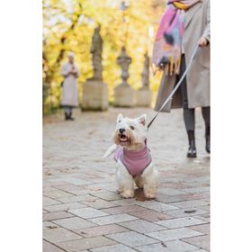 CAPA IMPERMEÁVEL "PONTIS" COM PEITORAL