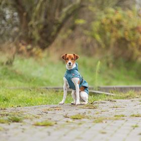 CAPA "VIMY" PARA CÃES