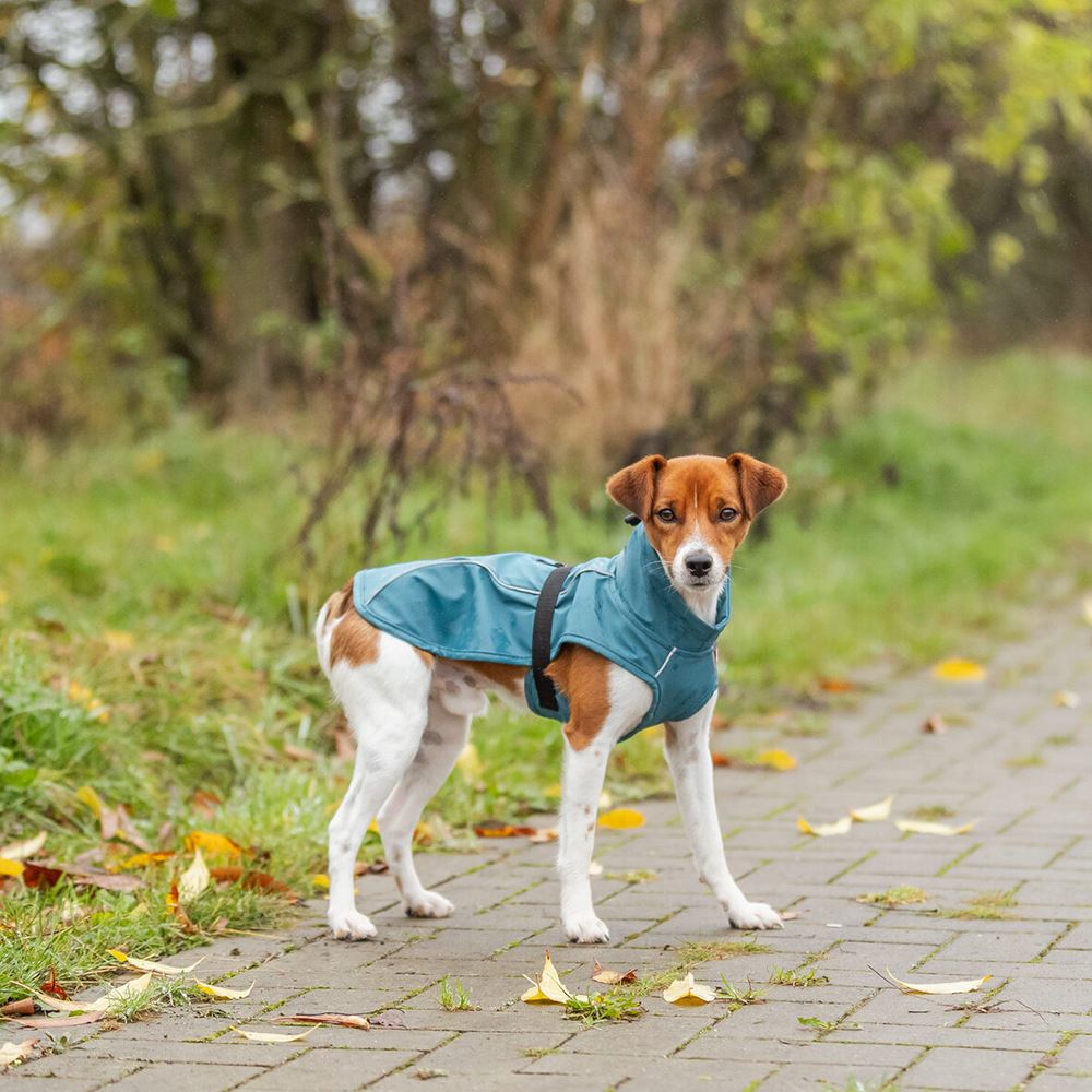 CAPA "VIMY" PARA CÃES