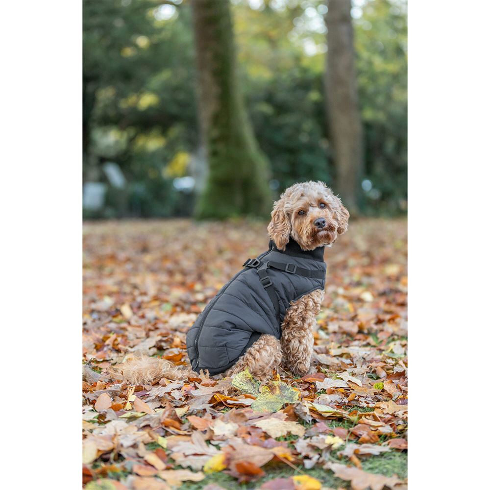 CAPA "PONTIS" COM PEITORAL PARA CÃES