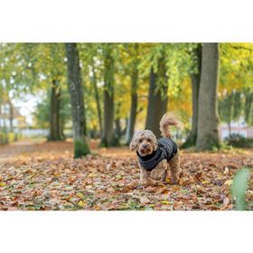 CAPA "PONTIS" COM PEITORAL PARA CÃES